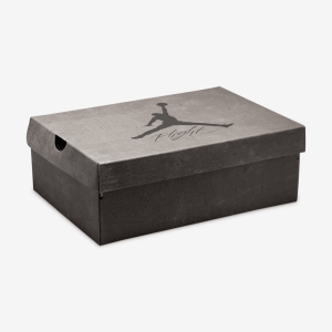 AIRJORDAN4RETROOG28GS29-21.png 120878